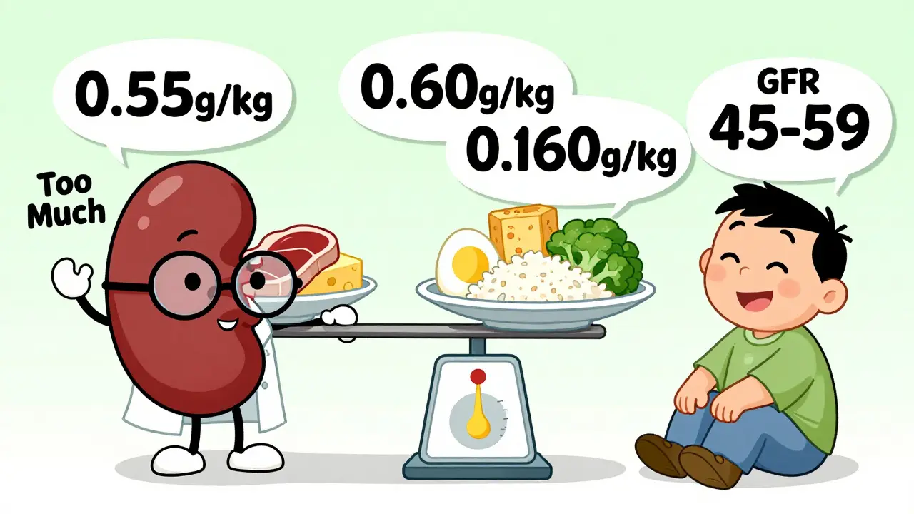 Renal Nutrition: Protein Targets for CKD Stages Explained